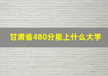 甘肃省480分能上什么大学