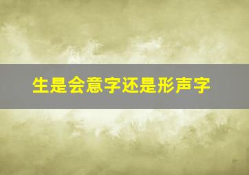 生是会意字还是形声字