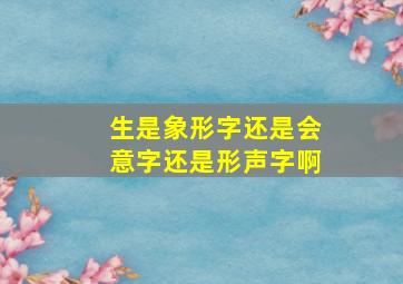 生是象形字还是会意字还是形声字啊