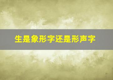 生是象形字还是形声字