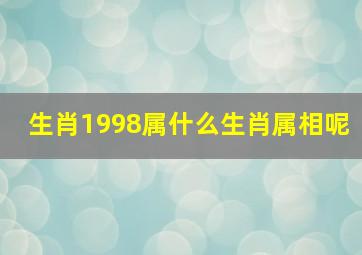 生肖1998属什么生肖属相呢