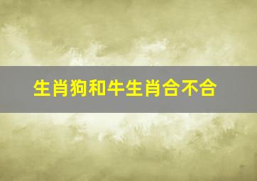 生肖狗和牛生肖合不合