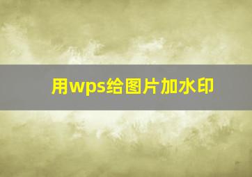 用wps给图片加水印