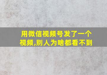 用微信视频号发了一个视频,别人为啥都看不到