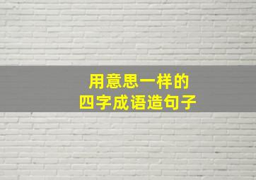 用意思一样的四字成语造句子