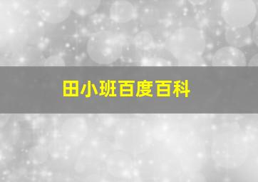 田小班百度百科