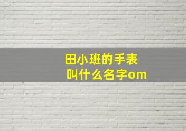 田小班的手表叫什么名字om