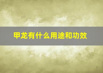 甲龙有什么用途和功效