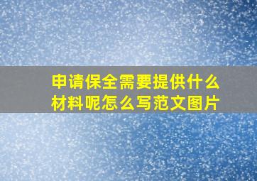 申请保全需要提供什么材料呢怎么写范文图片