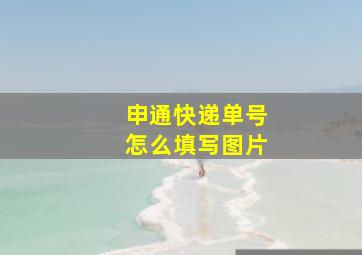 申通快递单号怎么填写图片