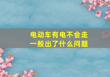 电动车有电不会走一般出了什么问题