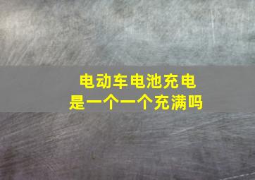 电动车电池充电是一个一个充满吗