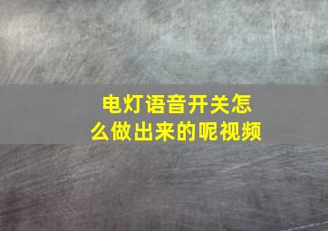 电灯语音开关怎么做出来的呢视频