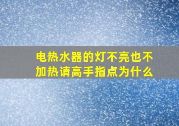 电热水器的灯不亮也不加热请高手指点为什么