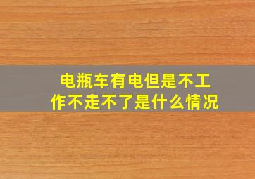 电瓶车有电但是不工作不走不了是什么情况