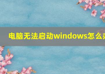 电脑无法启动windows怎么办