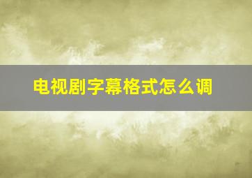 电视剧字幕格式怎么调