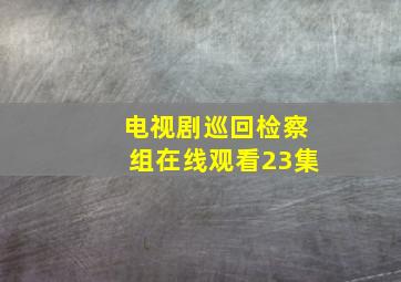 电视剧巡回检察组在线观看23集