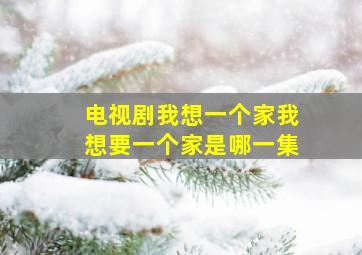 电视剧我想一个家我想要一个家是哪一集