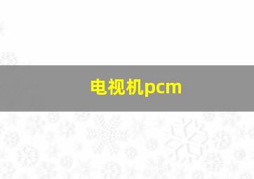 电视机pcm