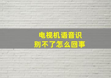 电视机语音识别不了怎么回事