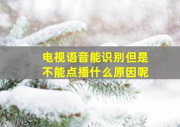 电视语音能识别但是不能点播什么原因呢