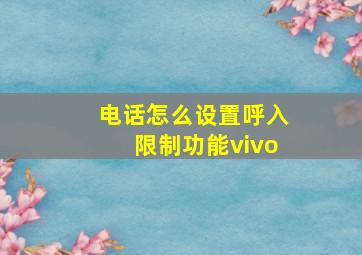 电话怎么设置呼入限制功能vivo