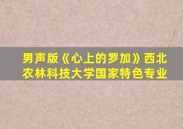 男声版《心上的罗加》西北农林科技大学国家特色专业