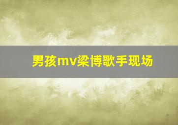 男孩mv梁博歌手现场