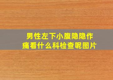 男性左下小腹隐隐作痛看什么科检查呢图片