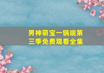 男神萌宝一锅端第三季免费观看全集