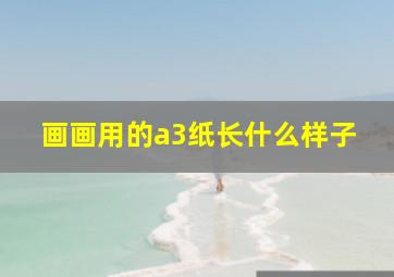 画画用的a3纸长什么样子