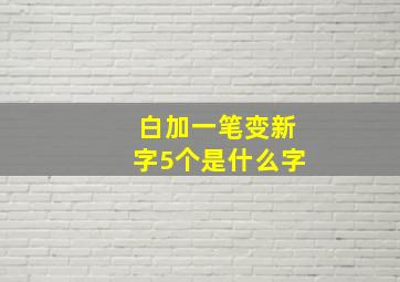 白加一笔变新字5个是什么字