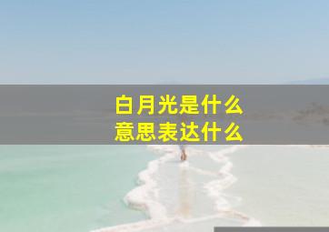 白月光是什么意思表达什么