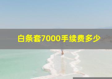 白条套7000手续费多少