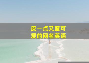 皮一点又蛮可爱的网名英语