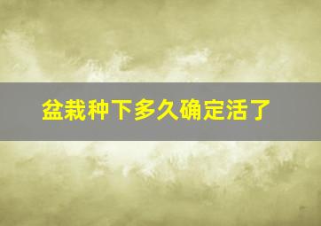 盆栽种下多久确定活了