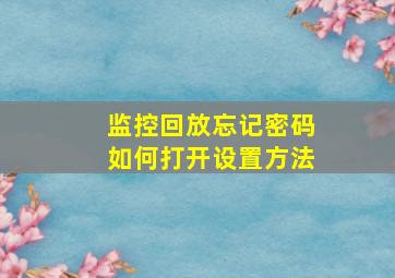 监控回放忘记密码如何打开设置方法