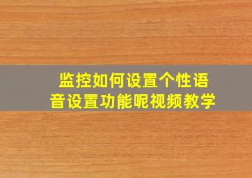 监控如何设置个性语音设置功能呢视频教学