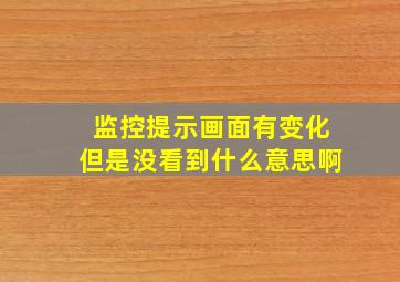 监控提示画面有变化但是没看到什么意思啊