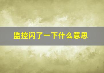 监控闪了一下什么意思