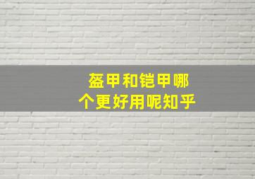 盔甲和铠甲哪个更好用呢知乎