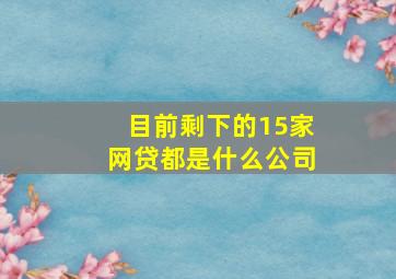 目前剩下的15家网贷都是什么公司