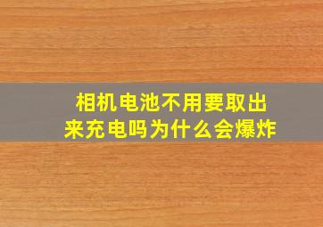 相机电池不用要取出来充电吗为什么会爆炸