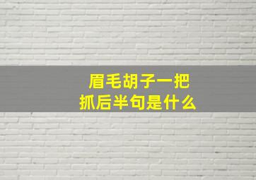 眉毛胡子一把抓后半句是什么