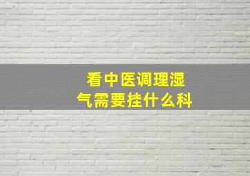 看中医调理湿气需要挂什么科