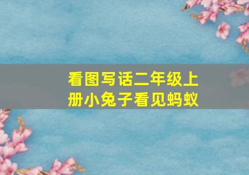 看图写话二年级上册小兔子看见蚂蚁