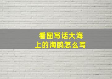 看图写话大海上的海鸥怎么写