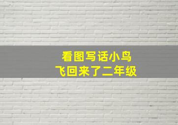 看图写话小鸟飞回来了二年级