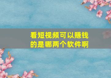 看短视频可以赚钱的是哪两个软件啊